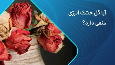 گل خشک انرژی منفی داره؟