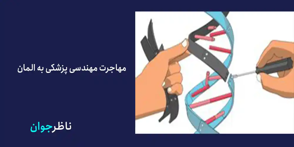 مهاجرت مهندسی پزشکی به المان