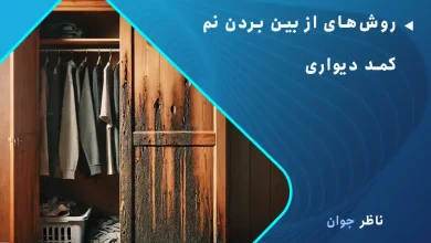 روش‌های از بین بردن نم کمد دیواری