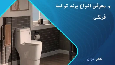 معرفی انواع برند توالت فرنگی